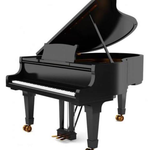ksteinrn393